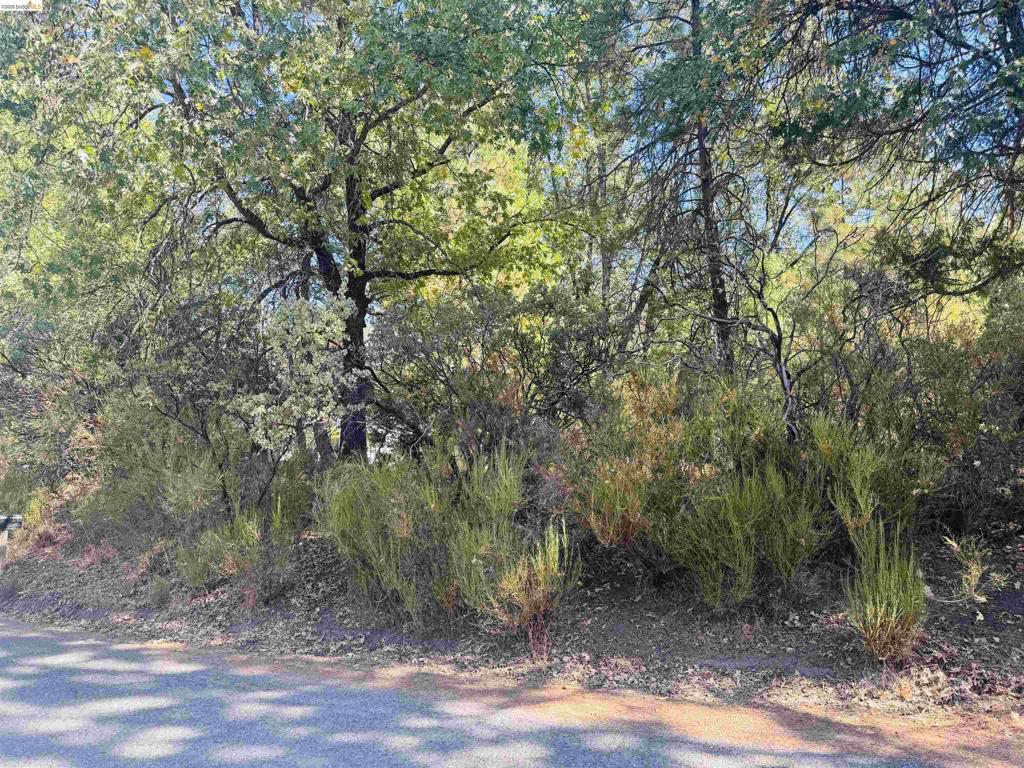 0 American River, Sonora, CA 95370