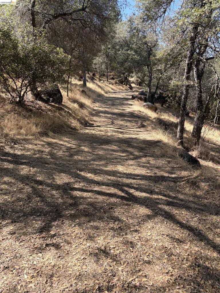 13643 Terrace Dr, Sonora, CA 95370