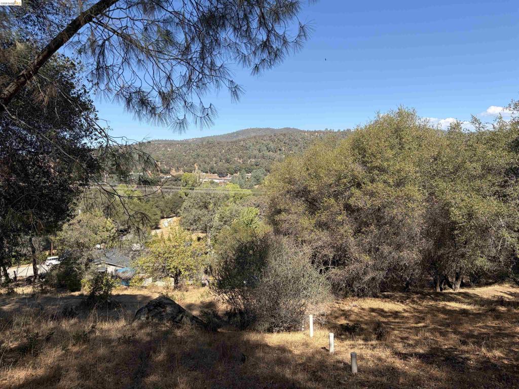 13643 Terrace Dr, Sonora, CA 95370