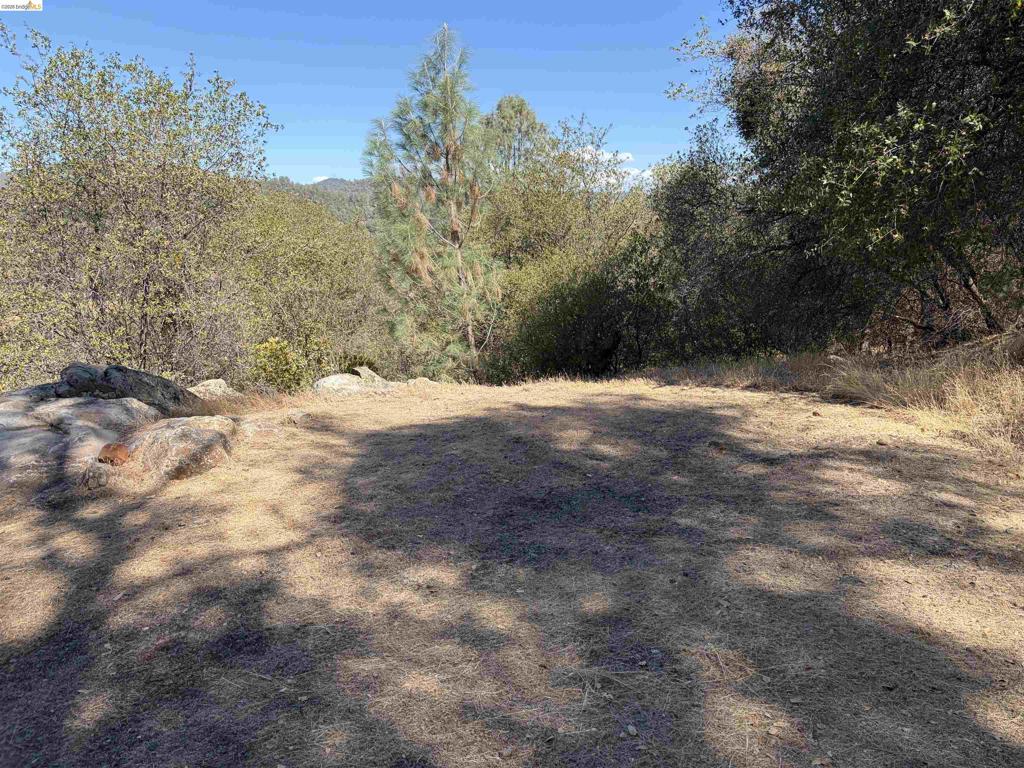 13643 Terrace Dr, Sonora, CA 95370