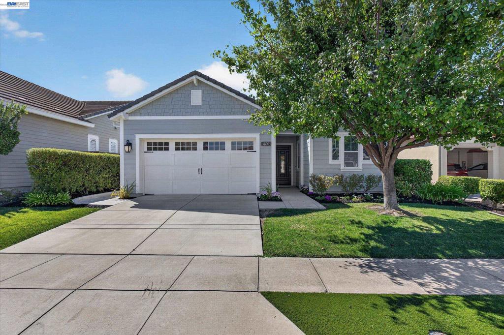 1609 Zinfandel Dr, Brentwood (CC), CA 94513