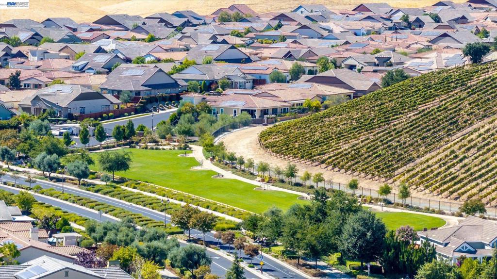 1609 Zinfandel Dr, Brentwood (CC), CA 94513