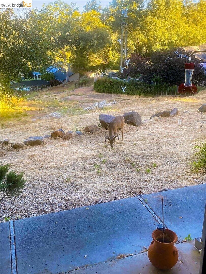 14405 Edgemont Acres RD, Sonora, CA 95370
