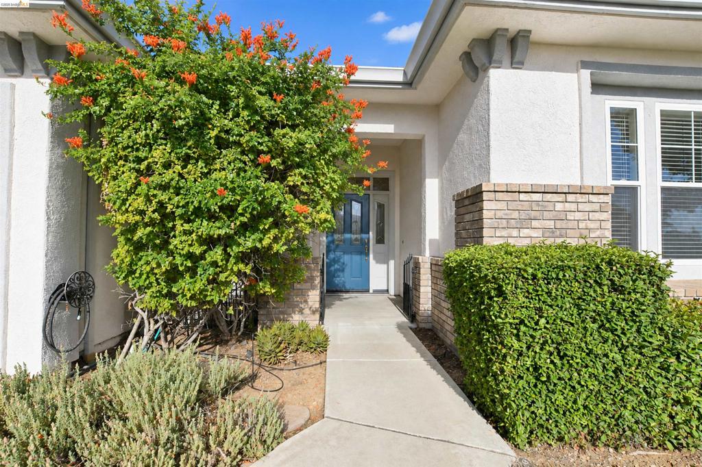 1587 Regent Dr, Brentwood (CC), CA 94513