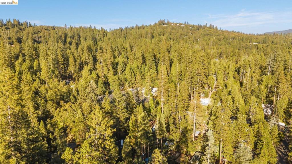 18659 Cherokee Dr., Twain Harte, CA 95379
