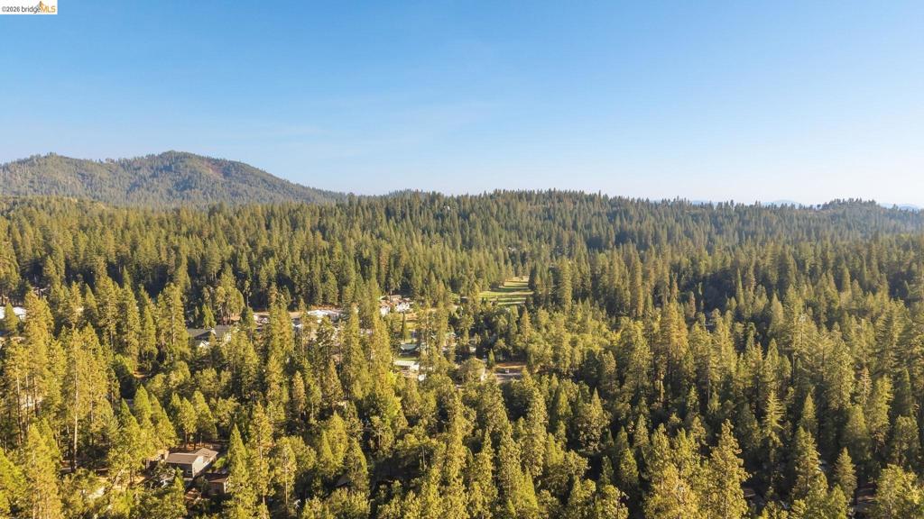 18659 Cherokee Dr., Twain Harte, CA 95379