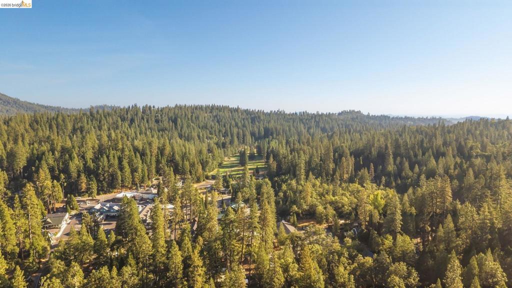 18659 Cherokee Dr., Twain Harte, CA 95379
