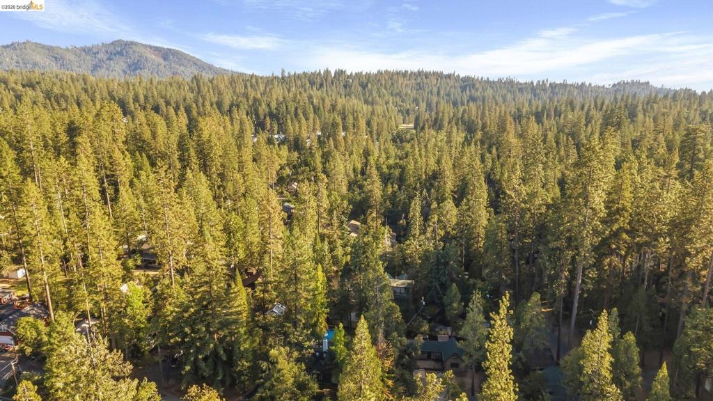 18659 Cherokee Dr., Twain Harte, CA 95379