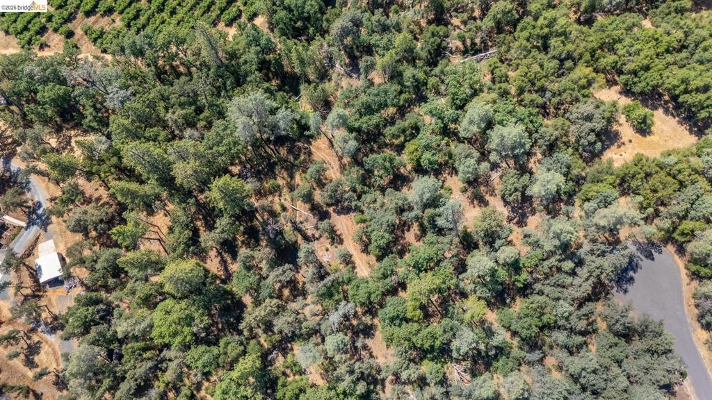 14464 Lorraine Lane, Sonora, CA 95370