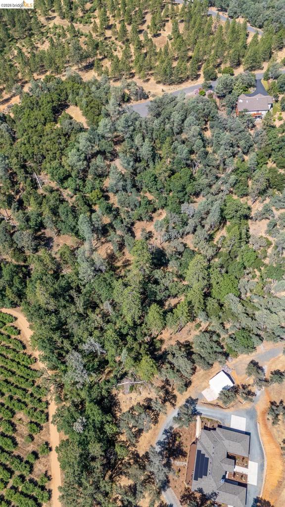 14464 Lorraine Lane, Sonora, CA 95370