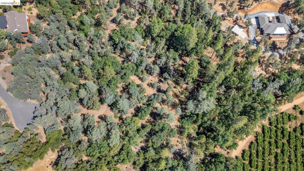 14464 Lorraine Lane, Sonora, CA 95370