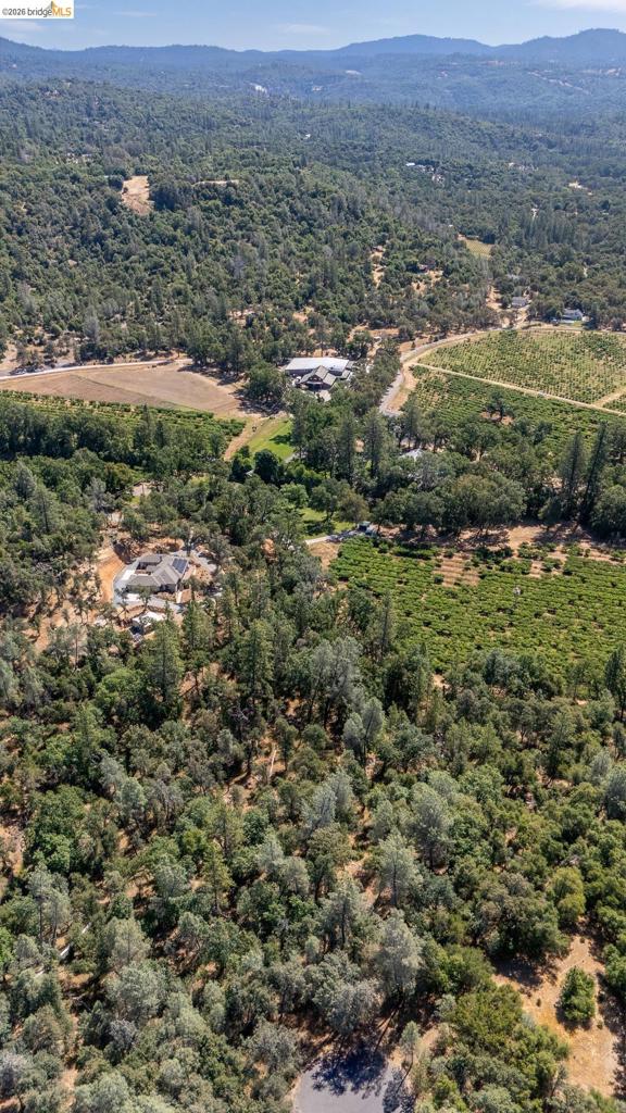 14464 Lorraine Lane, Sonora, CA 95370