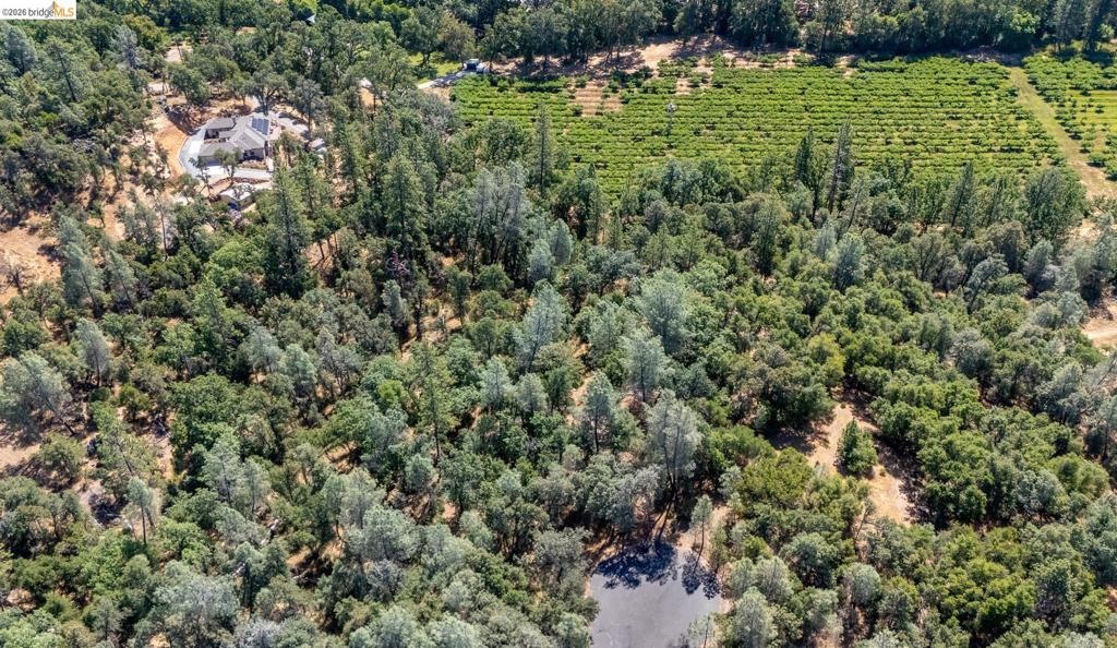 14464 Lorraine Lane, Sonora, CA 95370