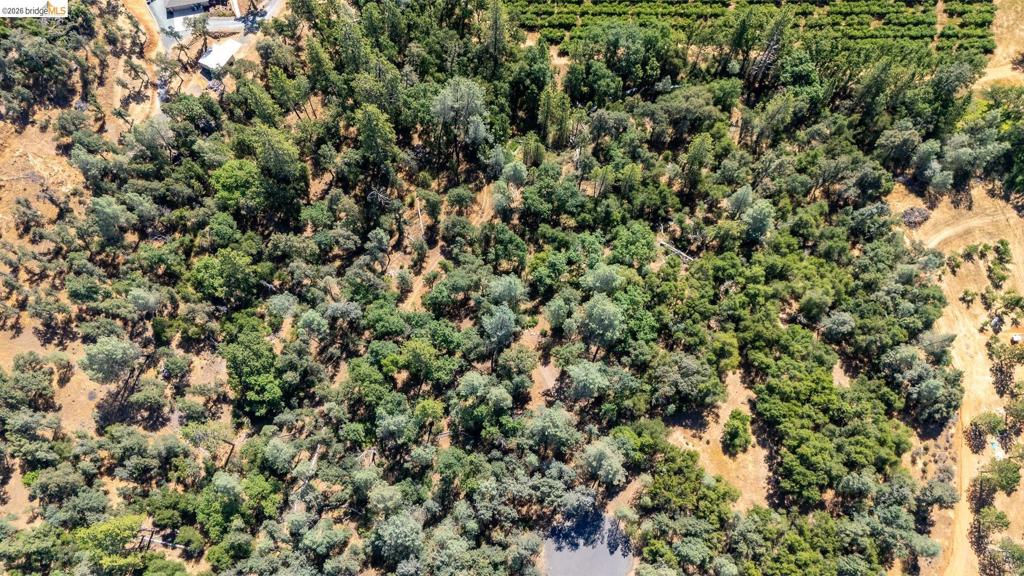 14464 Lorraine Lane, Sonora, CA 95370