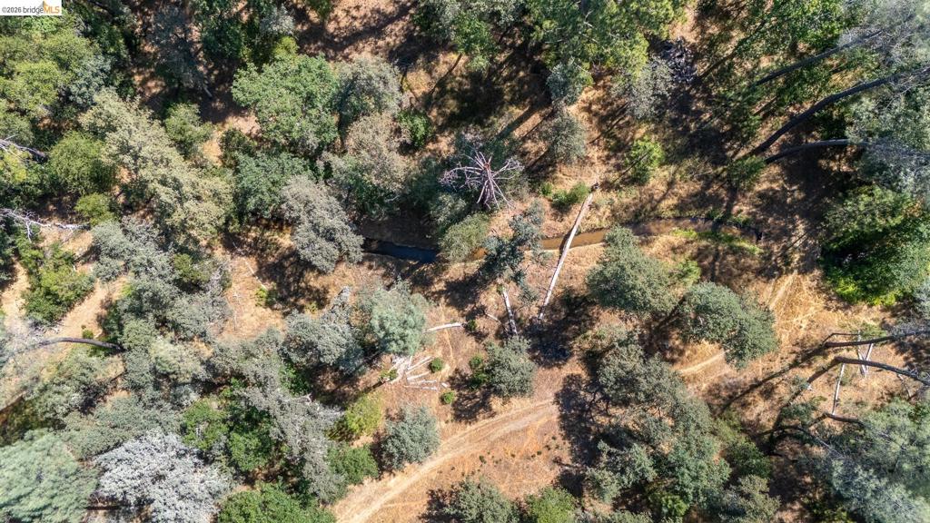 14464 Lorraine Lane, Sonora, CA 95370