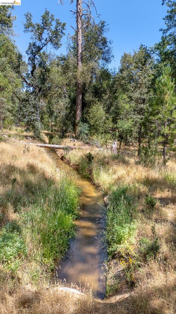 14464 Lorraine Lane, Sonora, CA 95370