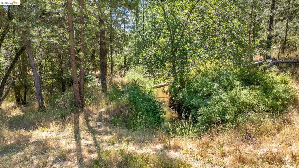14464 Lorraine Lane, Sonora, CA 95370