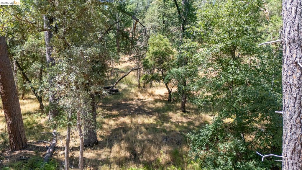 14464 Lorraine Lane, Sonora, CA 95370