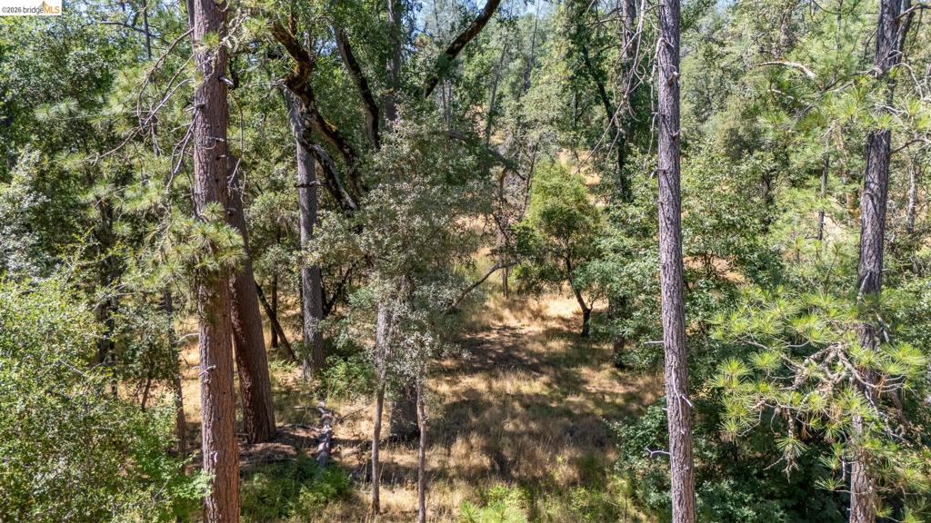 14464 Lorraine Lane, Sonora, CA 95370