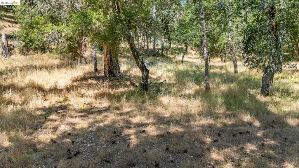 14464 Lorraine Lane, Sonora, CA 95370