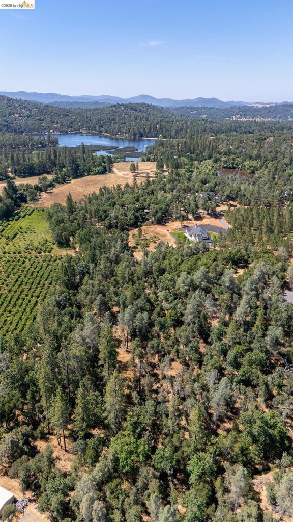 14464 Lorraine Lane, Sonora, CA 95370
