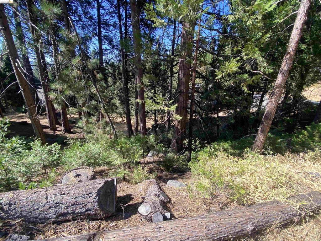 280 No Address - Vacant Lot, Long Barn, CA 95335