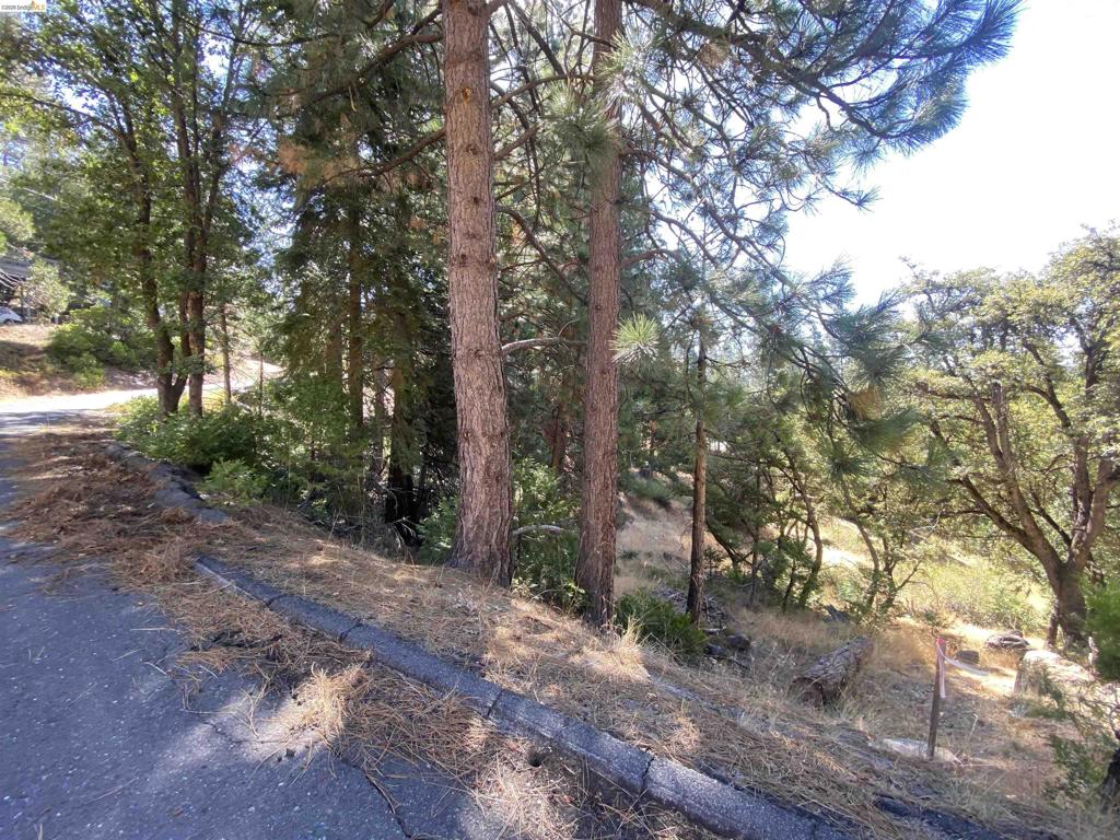 280 No Address - Vacant Lot, Long Barn, CA 95335