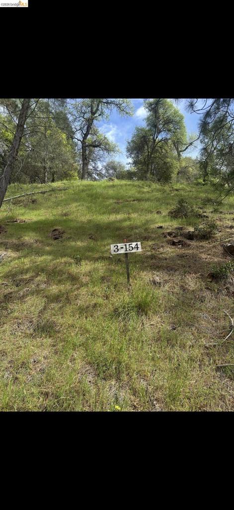3 154 Boitano Rd, Groveland, CA 95321