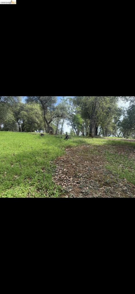 3 154 Boitano Rd, Groveland, CA 95321