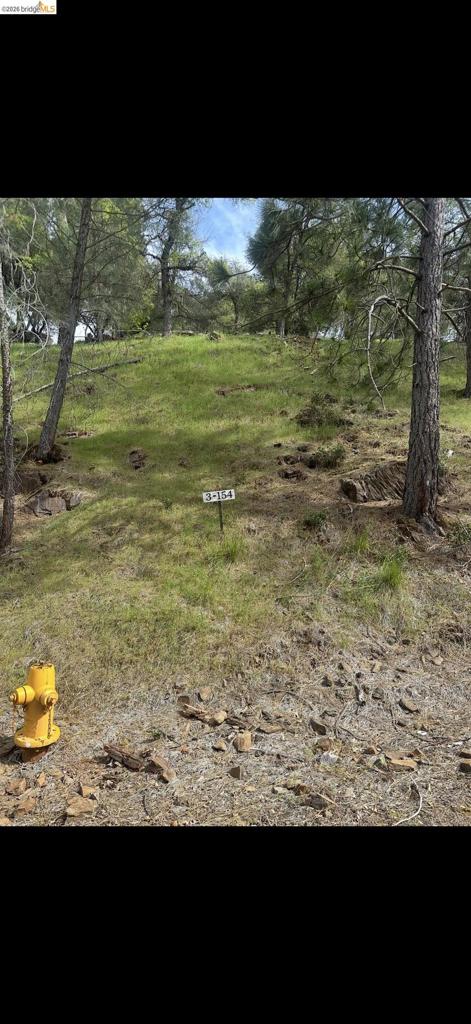 3 154 Boitano Rd, Groveland, CA 95321