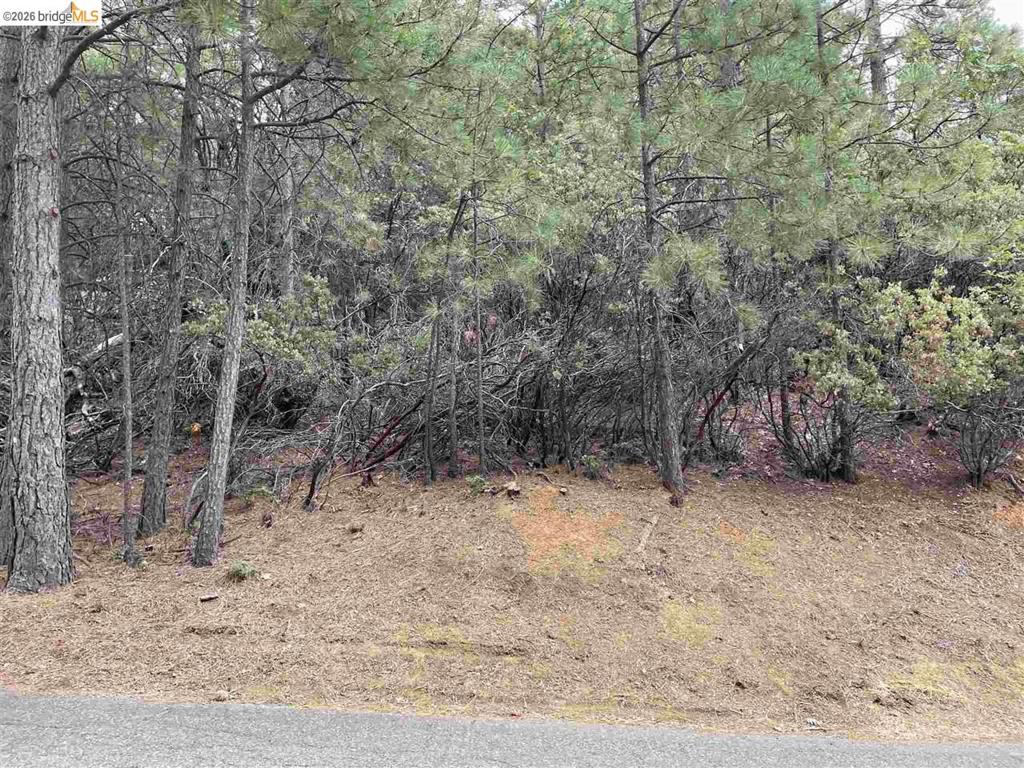 1 0001 Stable, Sonora, CA 95370