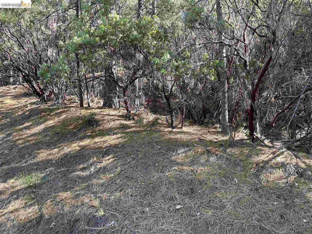 1 0001 Stable, Sonora, CA 95370
