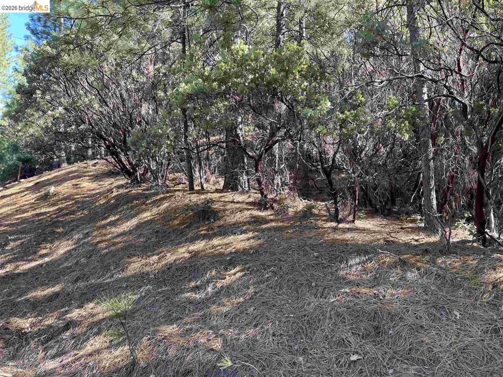 1 0001 Stable, Sonora, CA 95370