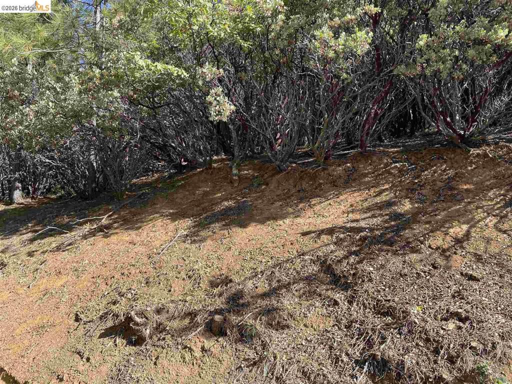 1 0001 Stable, Sonora, CA 95370