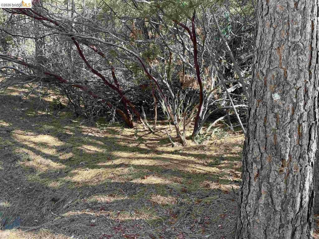 1 0001 Stable, Sonora, CA 95370