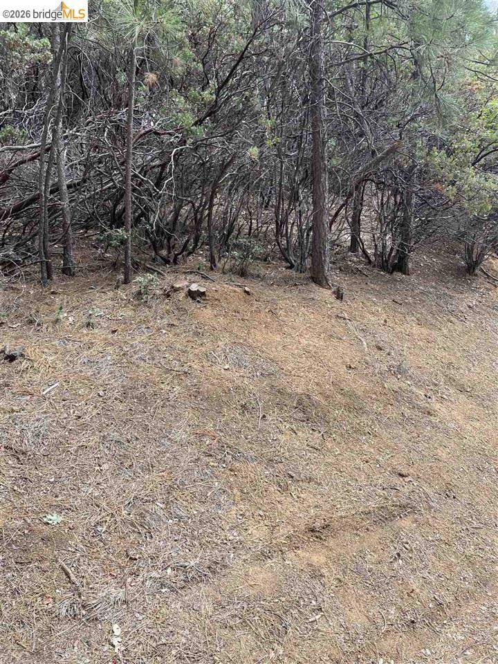 1 0001 Stable, Sonora, CA 95370