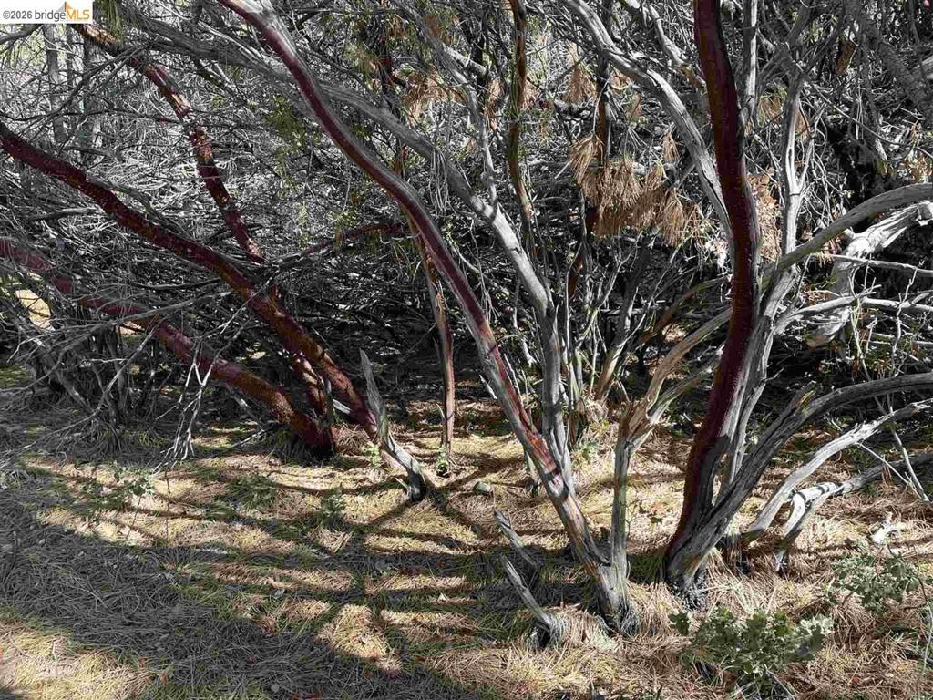 1 0001 Stable, Sonora, CA 95370