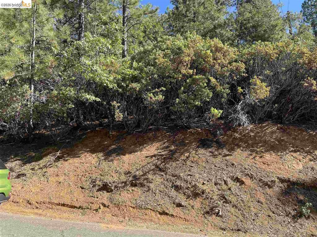 1 0001 Stable, Sonora, CA 95370