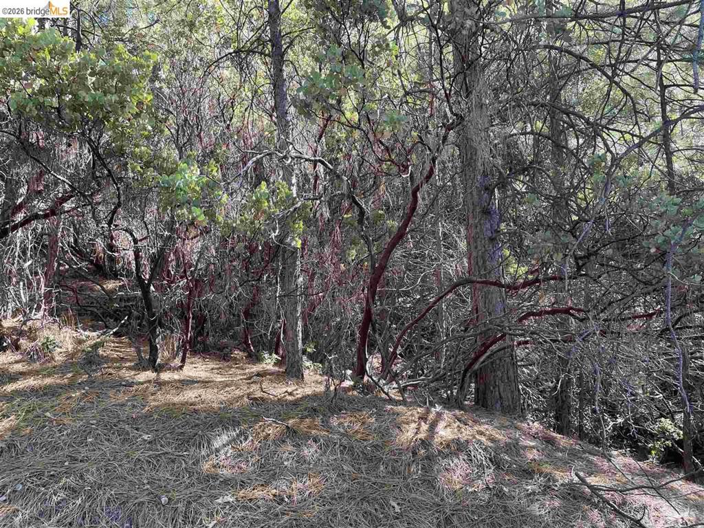 1 0001 Stable, Sonora, CA 95370