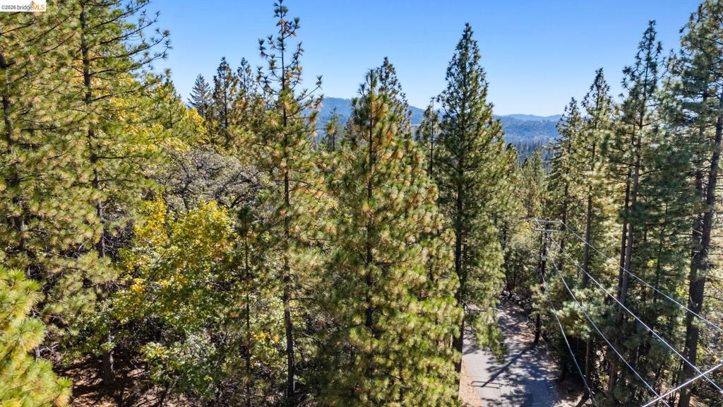 1 0001 Stable, Sonora, CA 95370