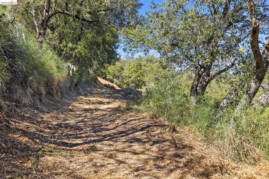 22611 Ridgemont Dr, Sonora, CA 95370