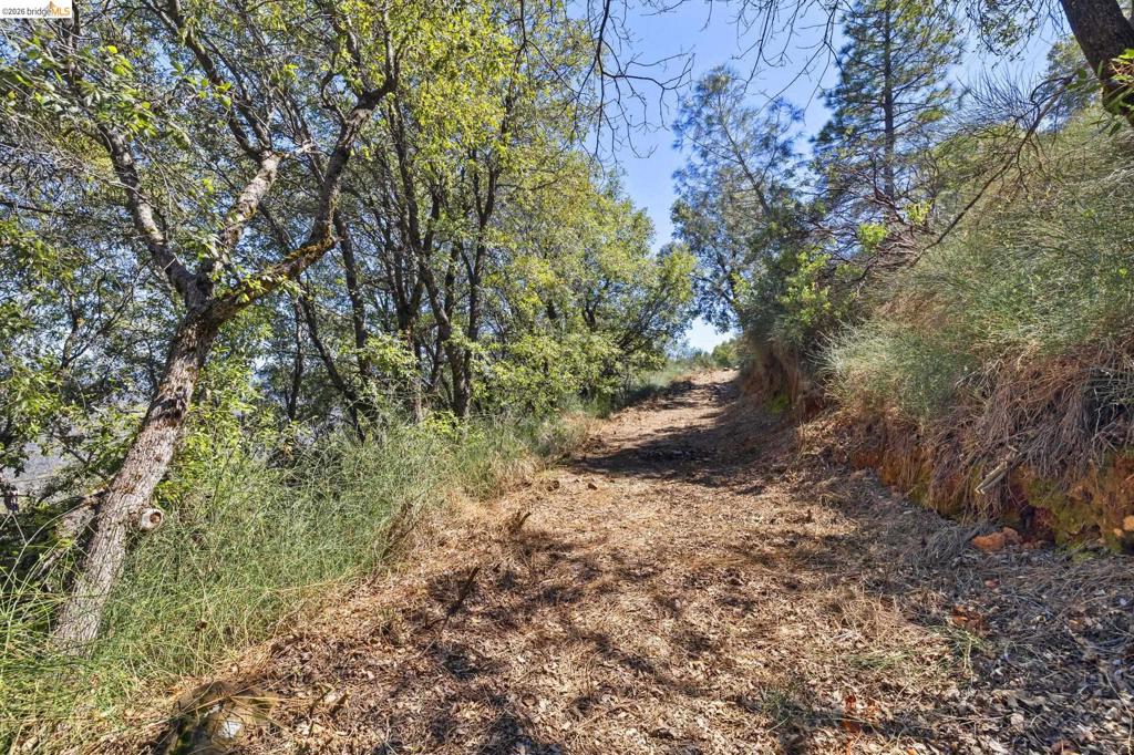 22611 Ridgemont Dr, Sonora, CA 95370