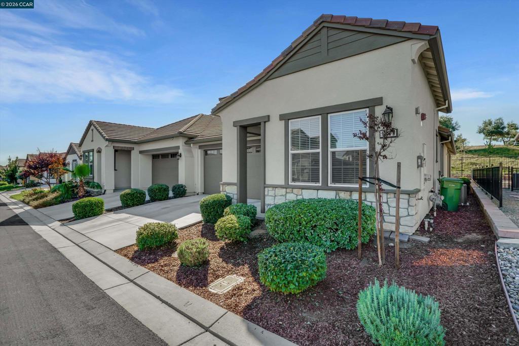 1546 Spumante Ln, Brentwood (CC), CA 94513