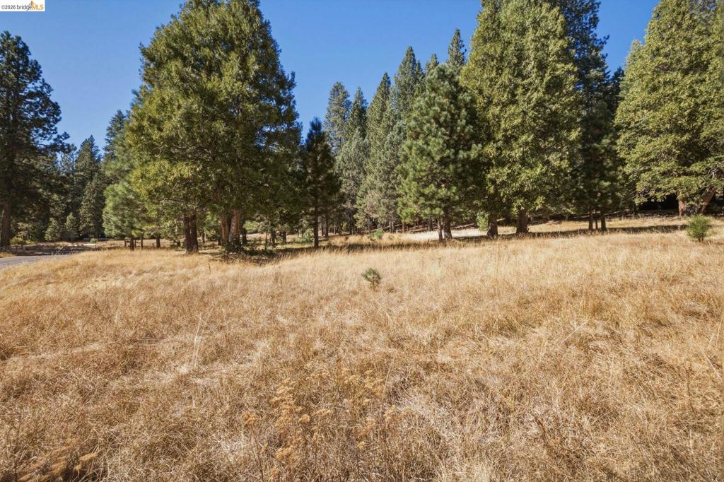 28130 Old Strawberry Road, Strawberry, CA 95375