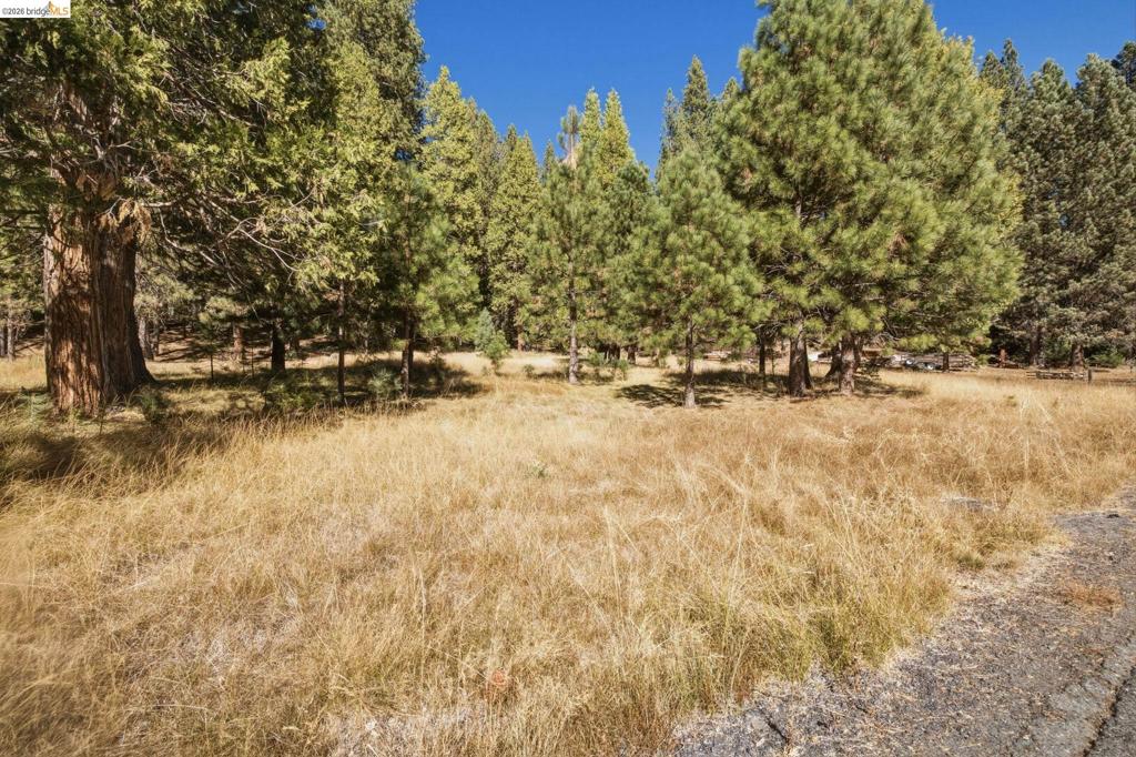 28130 Old Strawberry Road, Strawberry, CA 95375
