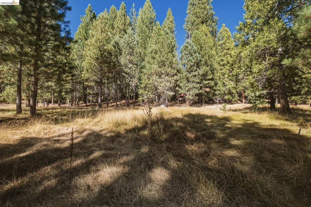 28130 Old Strawberry Road, Strawberry, CA 95375