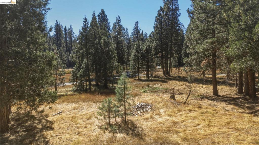 28130 Old Strawberry Road, Strawberry, CA 95375