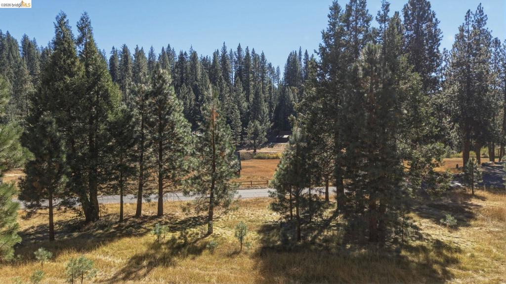 28130 Old Strawberry Road, Strawberry, CA 95375