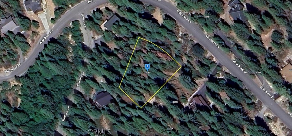 40541 Wild Rose, Shaver Lake, CA 93664