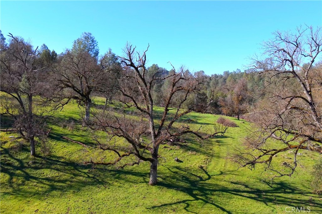 3729 Ben Hur Rd, Mariposa, CA 95338